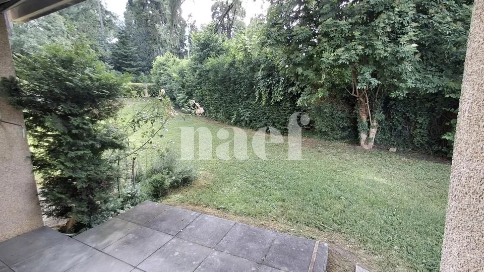 Renovated apartment