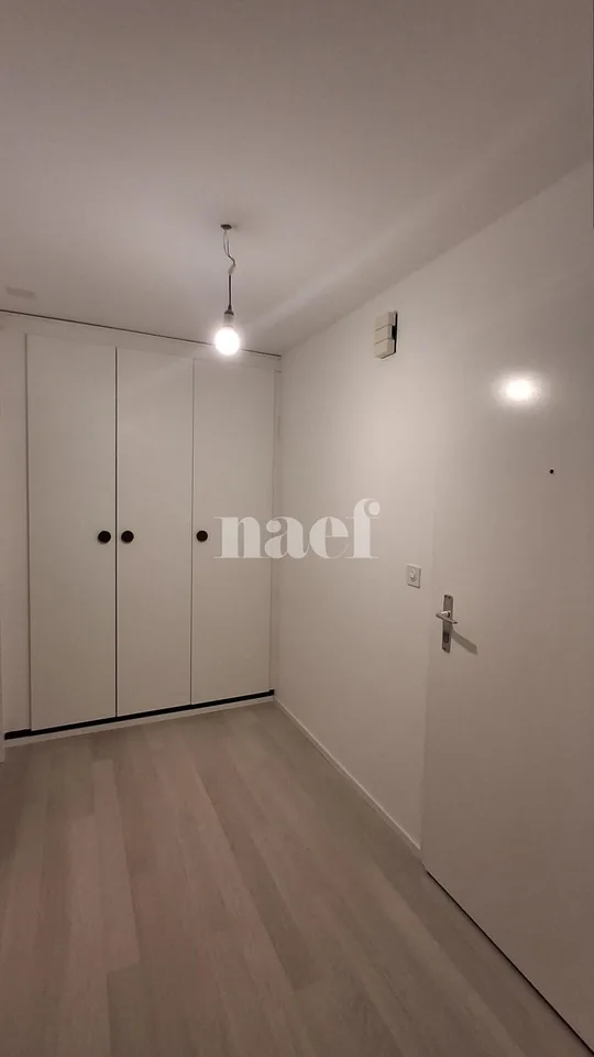 Renovated apartment
