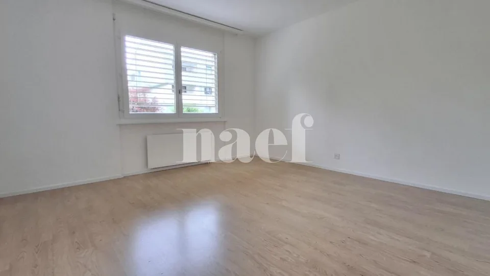 Renovated apartment
