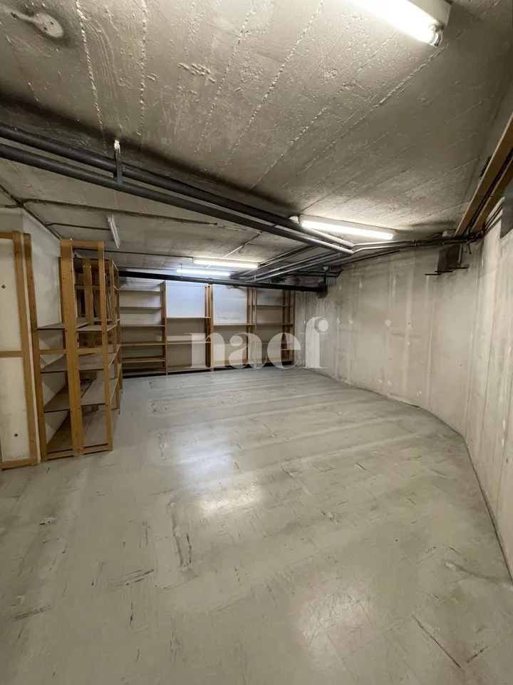 Modulares Gewerbeflächenangebot im Herzen von Neuchâtel mit 3 nutzbaren Ebenen – Foto 8 von 8