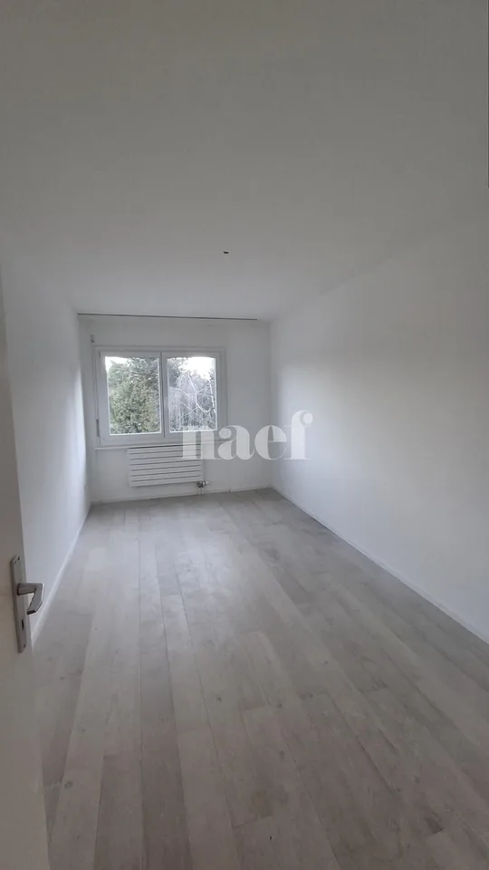 Renovated apartment