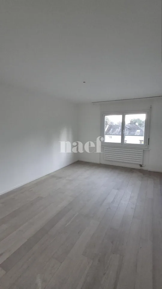 Renovated apartment