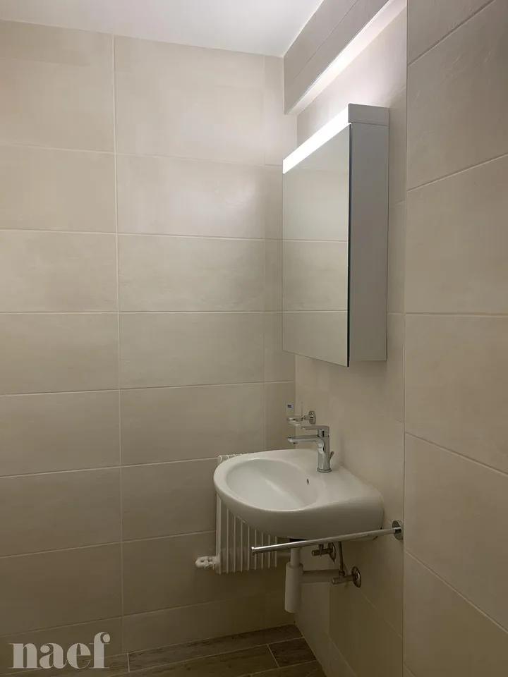 Schönes renoviertes 2.5-Zimmer-Apartment – Foto 12 von 12