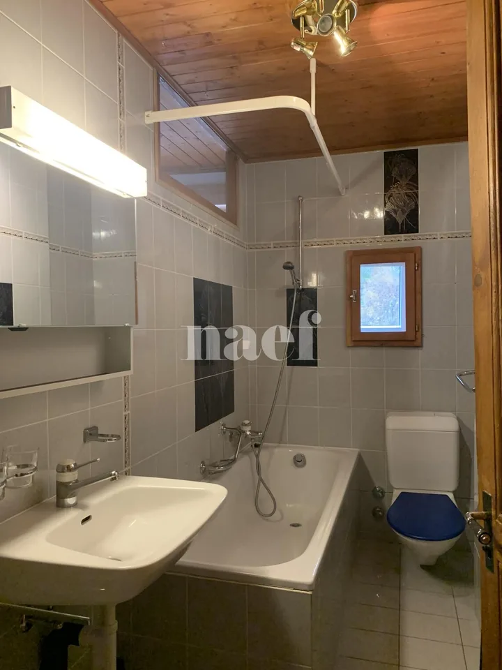 Spacious and bright 6.5-room duplex with communal garden – photo 11 of 13