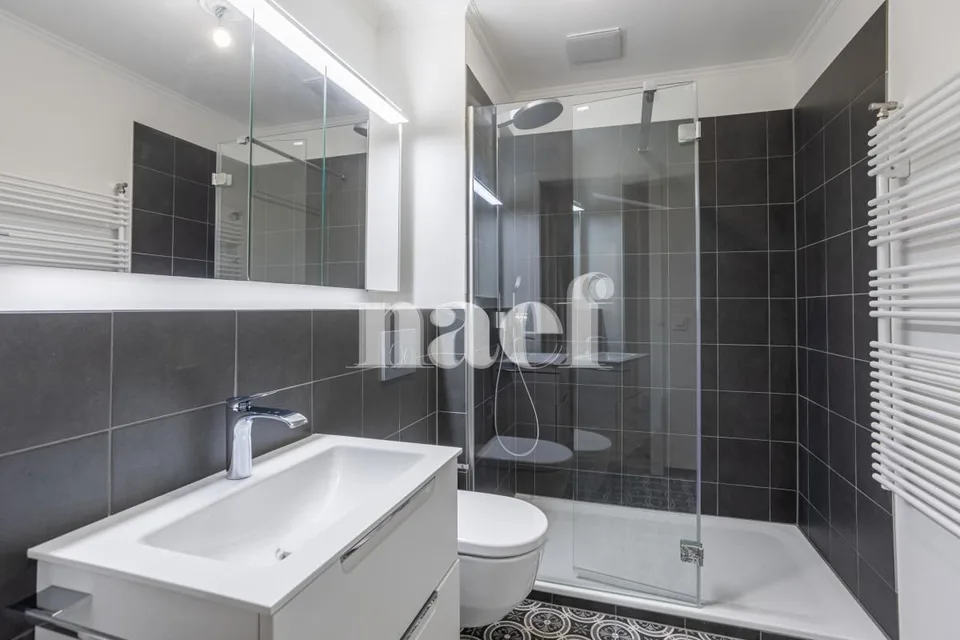 PROMOTION - 1st net rent offered!