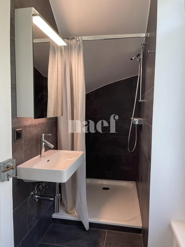 Meraviglioso appartamento di 4.5 locali in un castello a Villars-sur-Glâne!