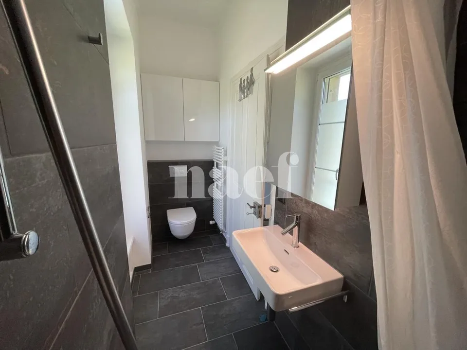 Meraviglioso appartamento di 4.5 locali in un castello a Villars-sur-Glâne!