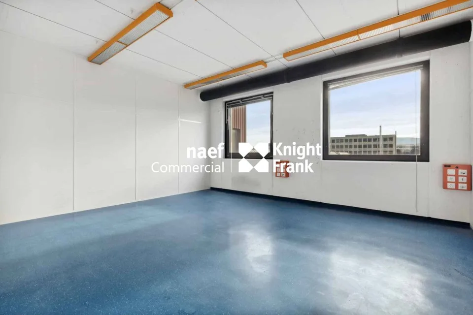 Fläche von 430 m² in der Industriezone ZIMEYSA in Meyrin – Foto 10 von 12