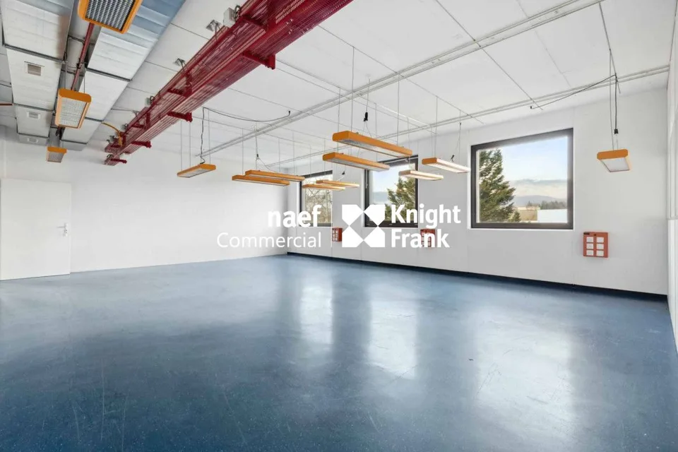 Fläche von 430 m² in der Industriezone ZIMEYSA in Meyrin – Foto 7 von 12
