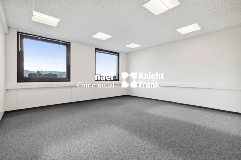 Fläche von 418 m² in der Industriezone ZIMEYSA in Meyrin – Foto 6 von 8