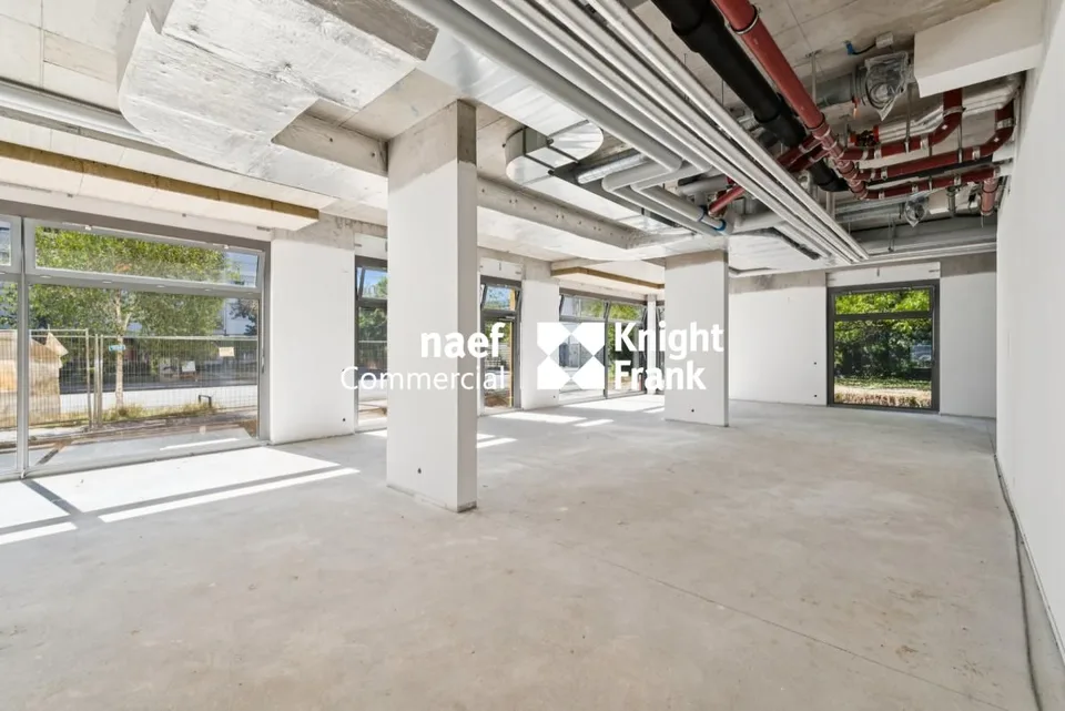 Arcade mit 191 m² zur Miete - Petit-Saconnex – Foto 4 von 6