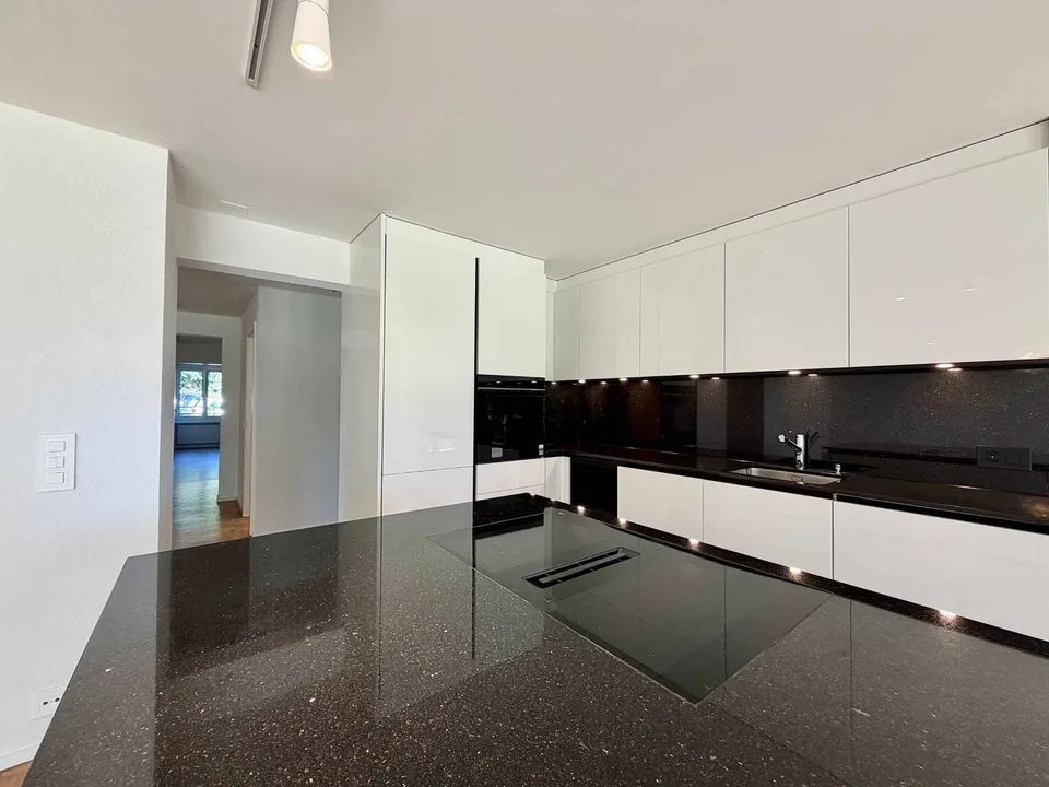 Spacious 5.5-room renovated apartment with garden