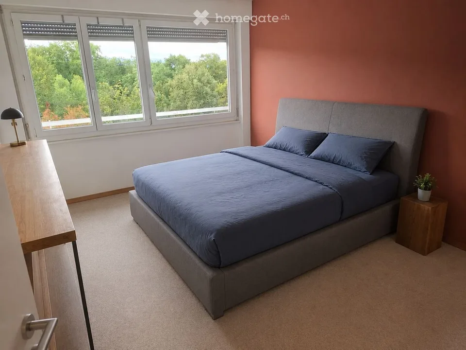 APARTMENT 4 ROOMS FOR RENT IN VERSOIX