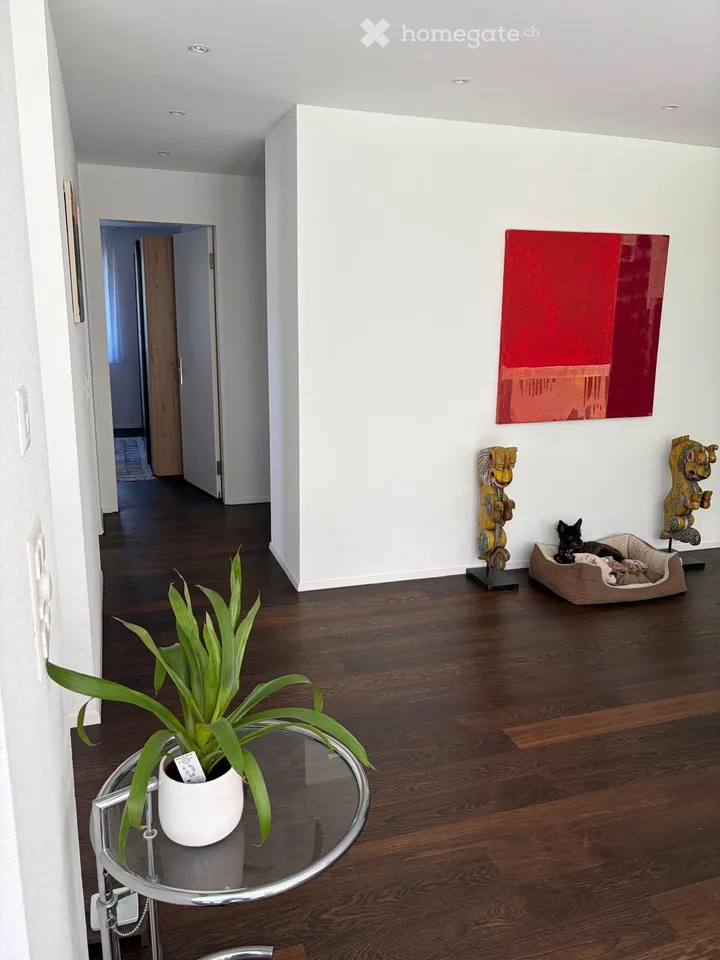 Geräumige 5.5-Zimmer-Wohnung im Erdgeschoss in Wilen b. Wollerau – sofort verfügbar