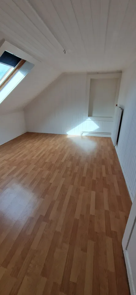 Gemütliche 3 1/2 Zimmerwohnung über 2 Etagen - ideal für Singles oder Paare