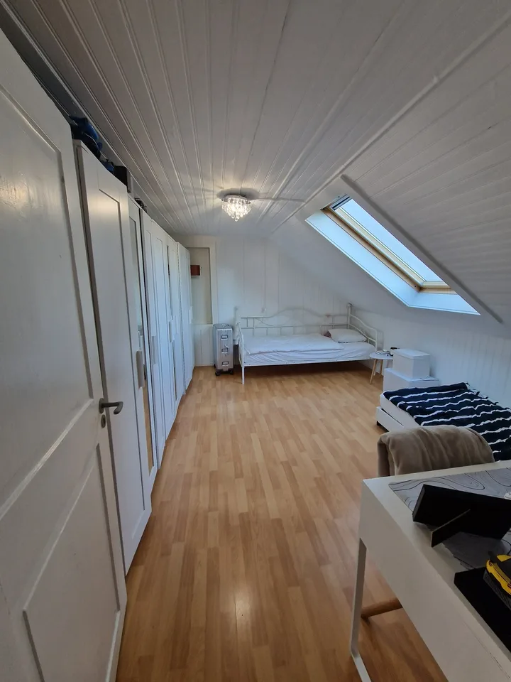 Gemütliche 3 1/2 Zimmerwohnung über 2 Etagen - ideal für Singles oder Paare
