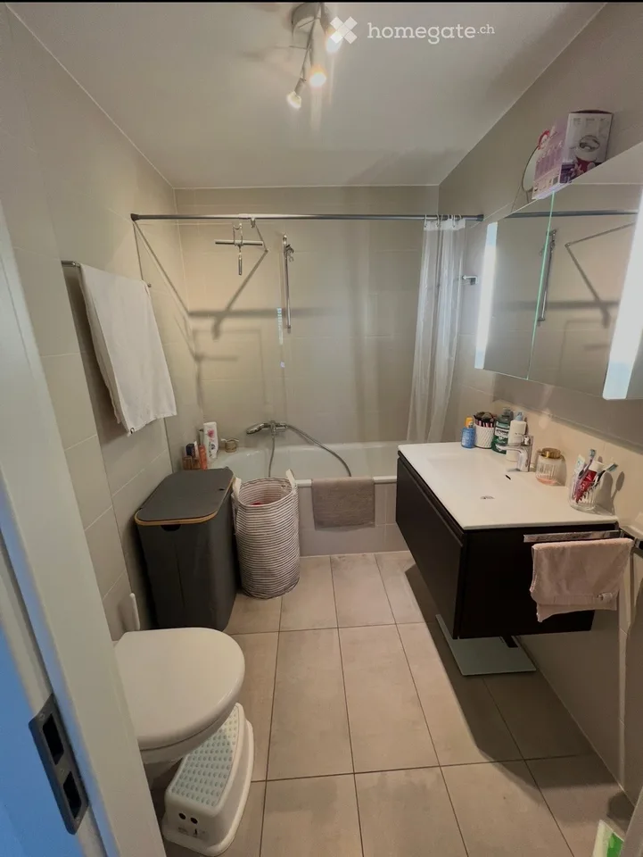 Charming 2.5-room apartment with balcony in Gimel