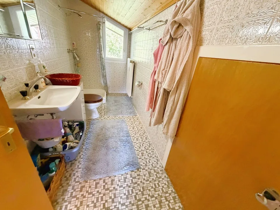 ATTIQUE ! Spacieux et lumineux 1.5 pièces rénové - Extraordinaire vue - Bien Situé - Lieu très calme – photo 9 sur 16