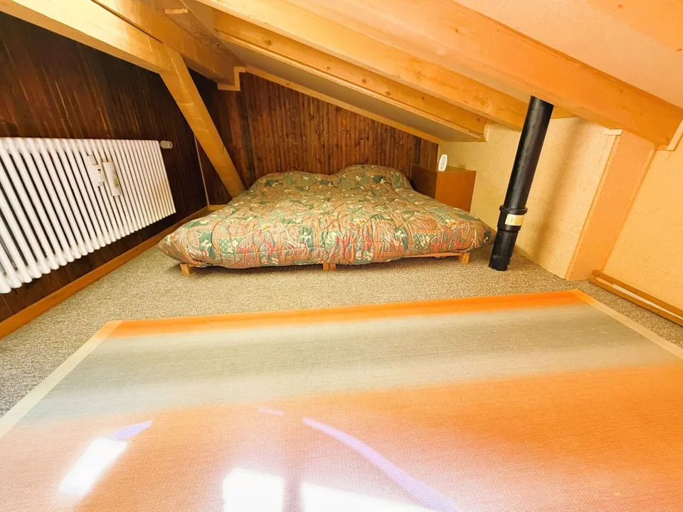 ATTIQUE ! Spacieux et lumineux 1.5 pièces rénové - Extraordinaire vue - Bien Situé - Lieu très calme – photo 15 sur 16