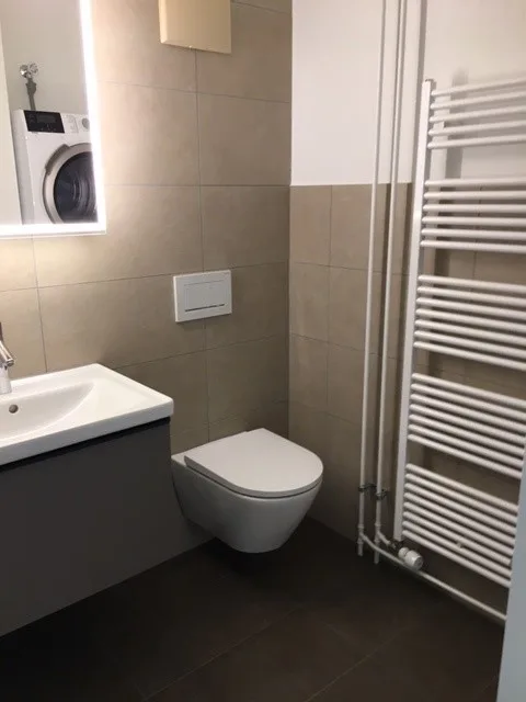 Renovated, comfortable 1 bedroom apartment in Kleinbasel – photo 6 of 6
