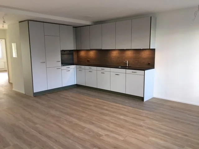 Renovated, comfortable 1 bedroom apartment in Kleinbasel – photo 2 of 6