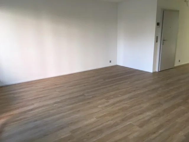 Renovated, comfortable 1 bedroom apartment in Kleinbasel – photo 4 of 6