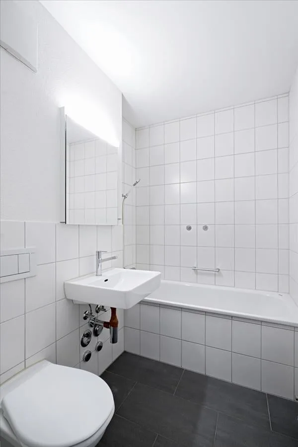La tua nuova casa direttamente a Basilea – foto 5 di 8