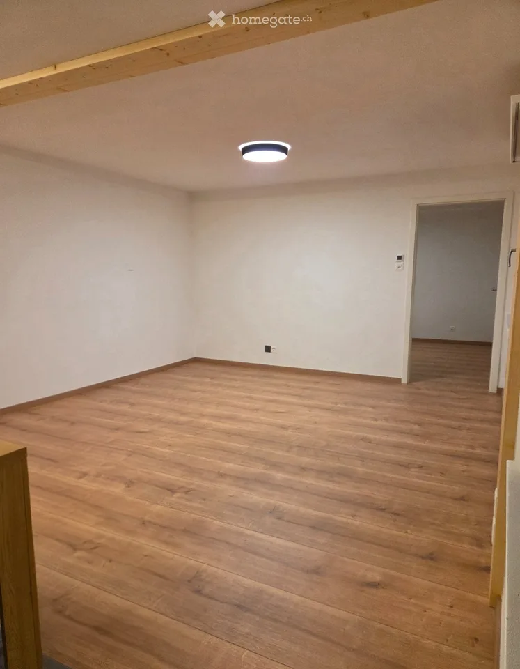 Incantevole appartamento di 2,5 locali con prato