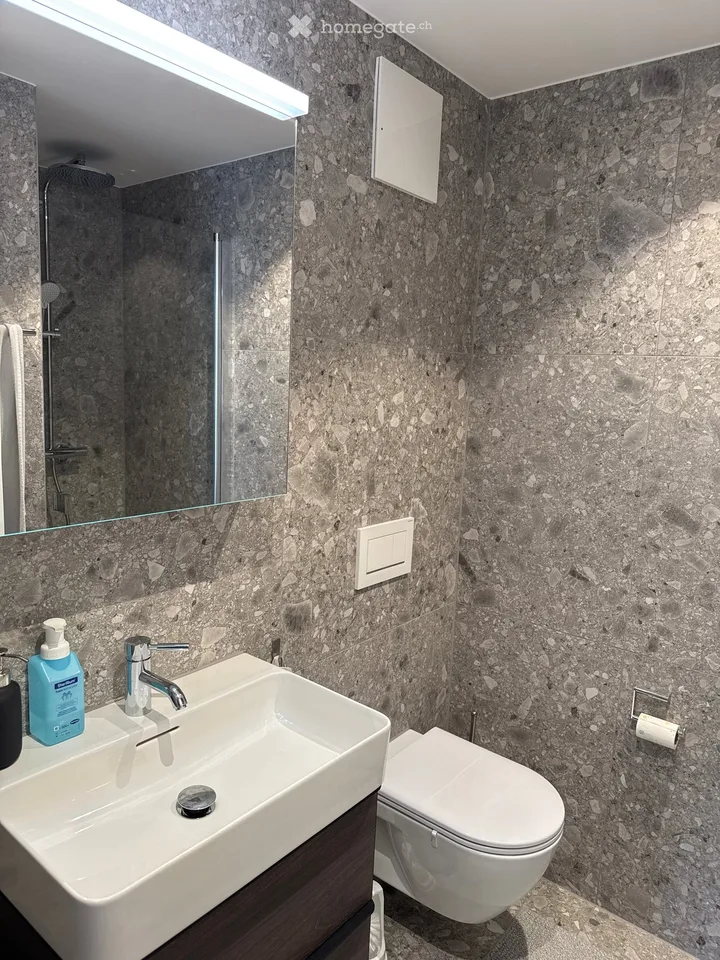 Moderne 2.5-Zimmer-Wohnung mit Balkon in Bassersdorf