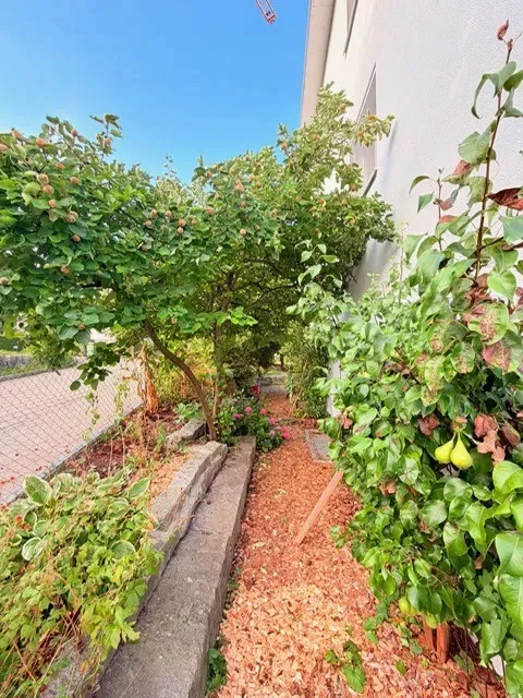 Casa eccezionalmente spaziosa di 7,5 locali con giardino a sud e 2° piano polivalente – foto 8 di 17