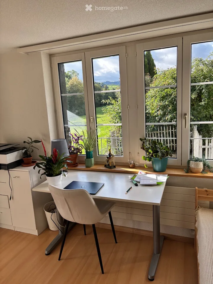 To rent in Wyssachen sunny 3-room ground floor apartment