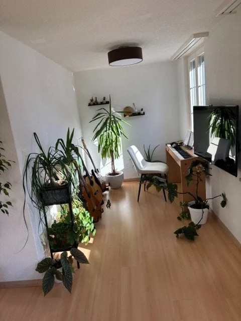 To rent in Wyssachen sunny 3-room ground floor apartment