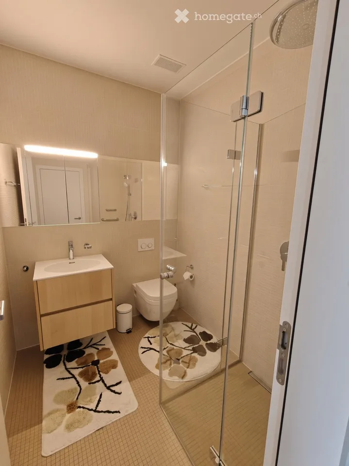 Duplex-/Maisonette-Wohnung in Schwyz