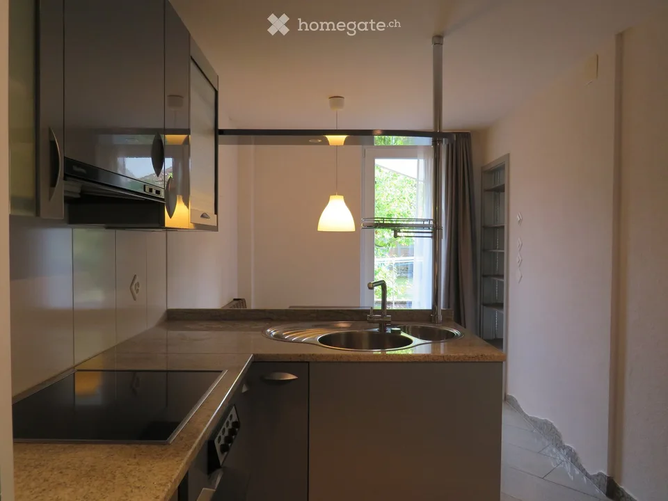 Charmant appartement 3.5 pièces avec part de jardin et veranda à proximité du lac – Steckborn