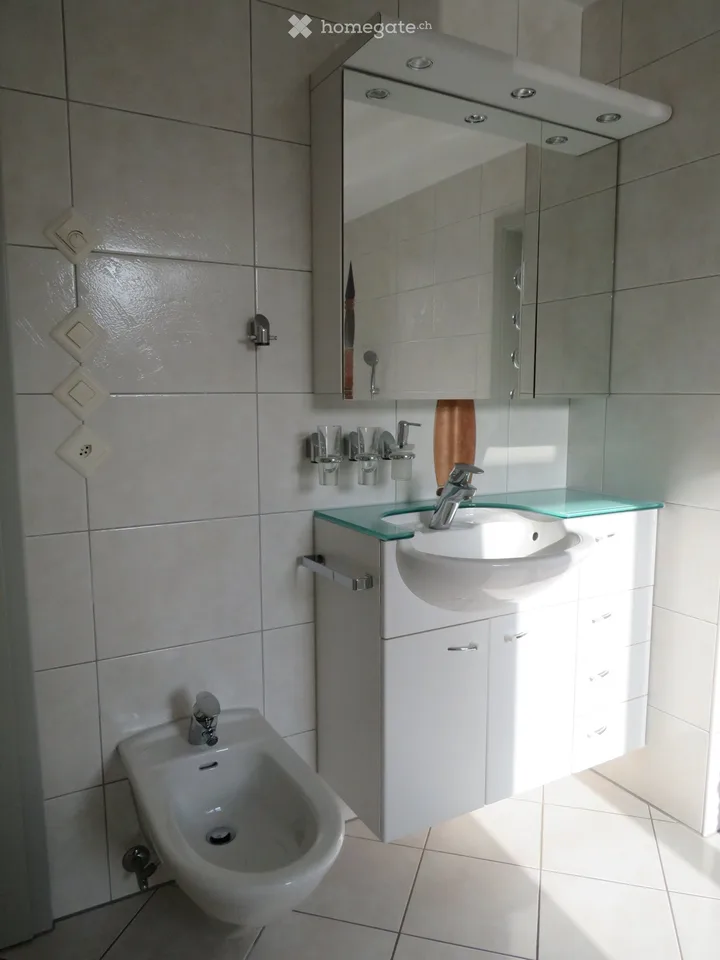 Charmant appartement 3.5 pièces avec part de jardin et veranda à proximité du lac – Steckborn