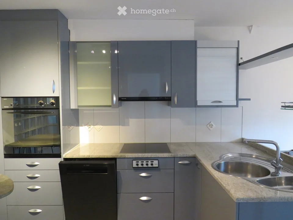 Charmant appartement 3.5 pièces avec part de jardin et veranda à proximité du lac – Steckborn