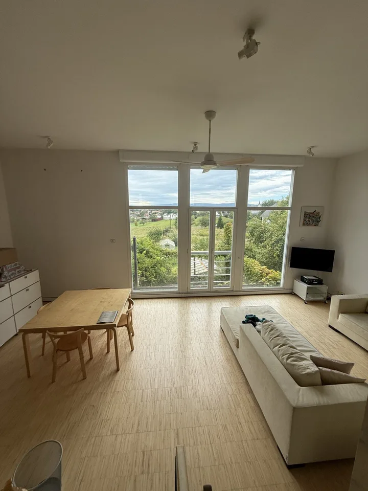 Réf: 11185*** Sect. Attenschwiller / Michelbach: Magnifique maison d'architecte env. 145 m² – Foto 11 von 30