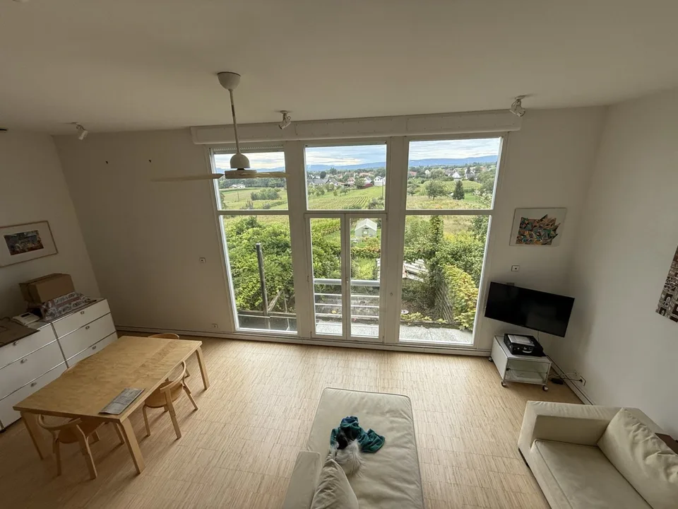 Réf: 11185*** Sect. Attenschwiller / Michelbach: Magnifique maison d'architecte env. 145 m² – Foto 25 von 30