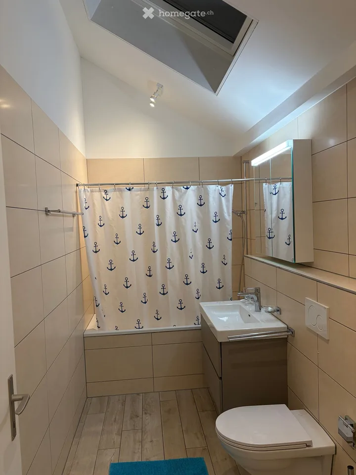 Charming 4.5-room attic apartment on the main street in Kölliken