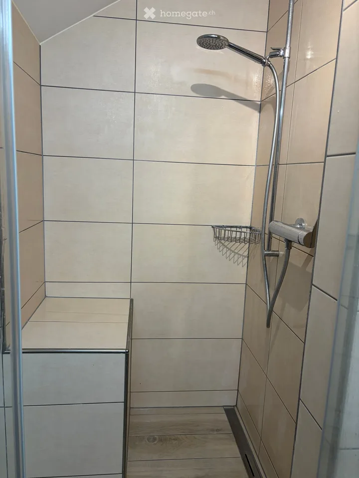 Charming 4.5-room attic apartment on the main street in Kölliken