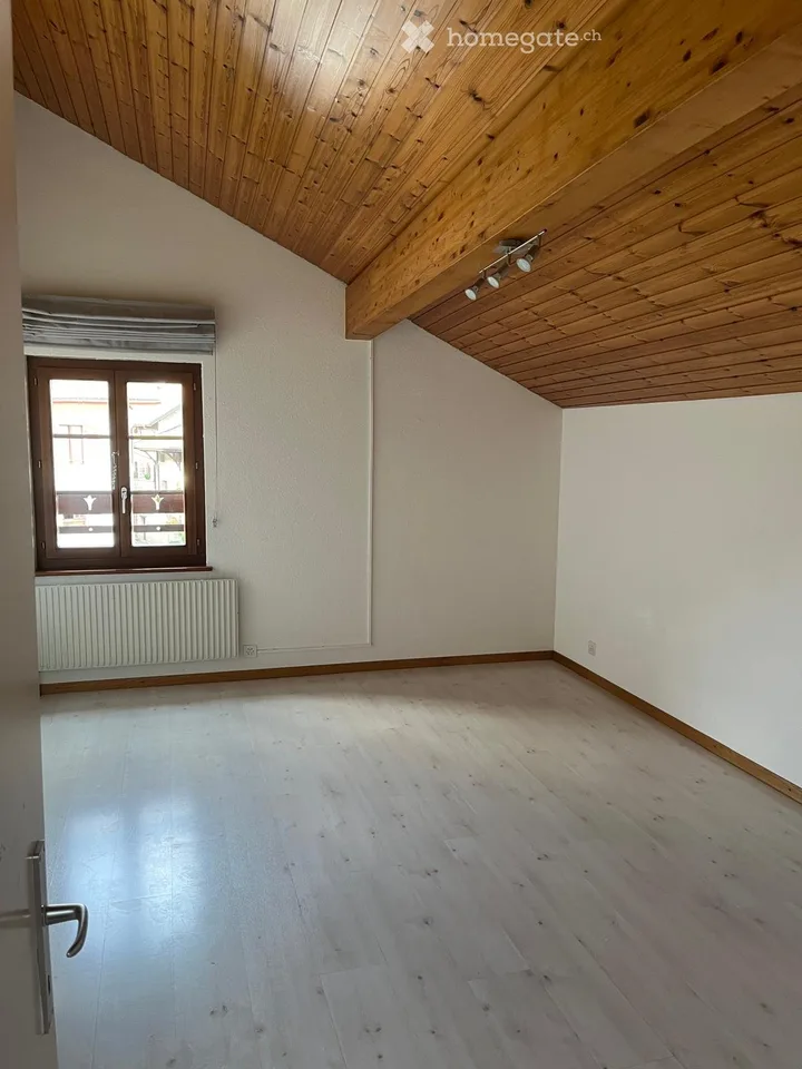 Ampia casa di 7 locali a Hermance
