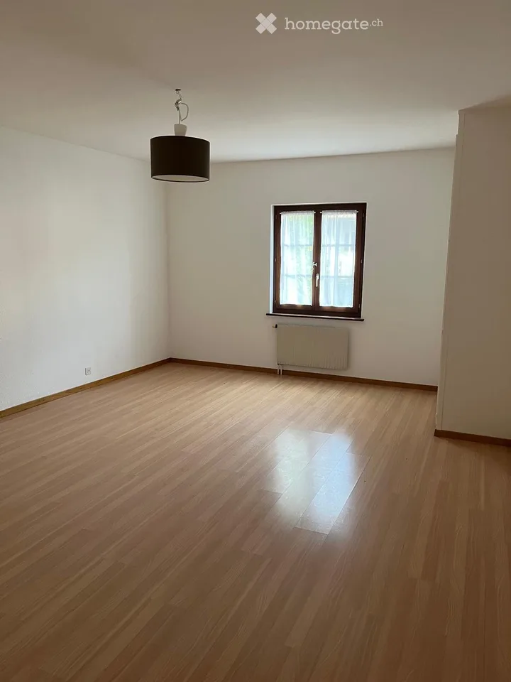 Ampia casa di 7 locali a Hermance