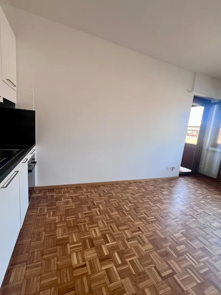 Studio with balcony and panoramic view in Lugano – photo 7 of 15
