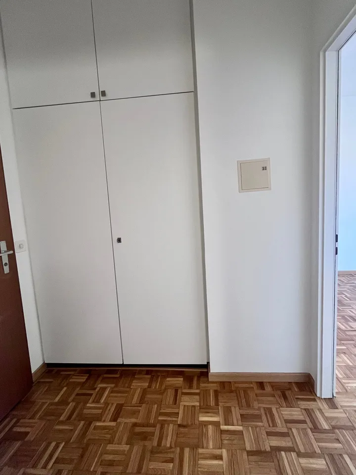 Studio with balcony and panoramic view in Lugano – photo 14 of 15