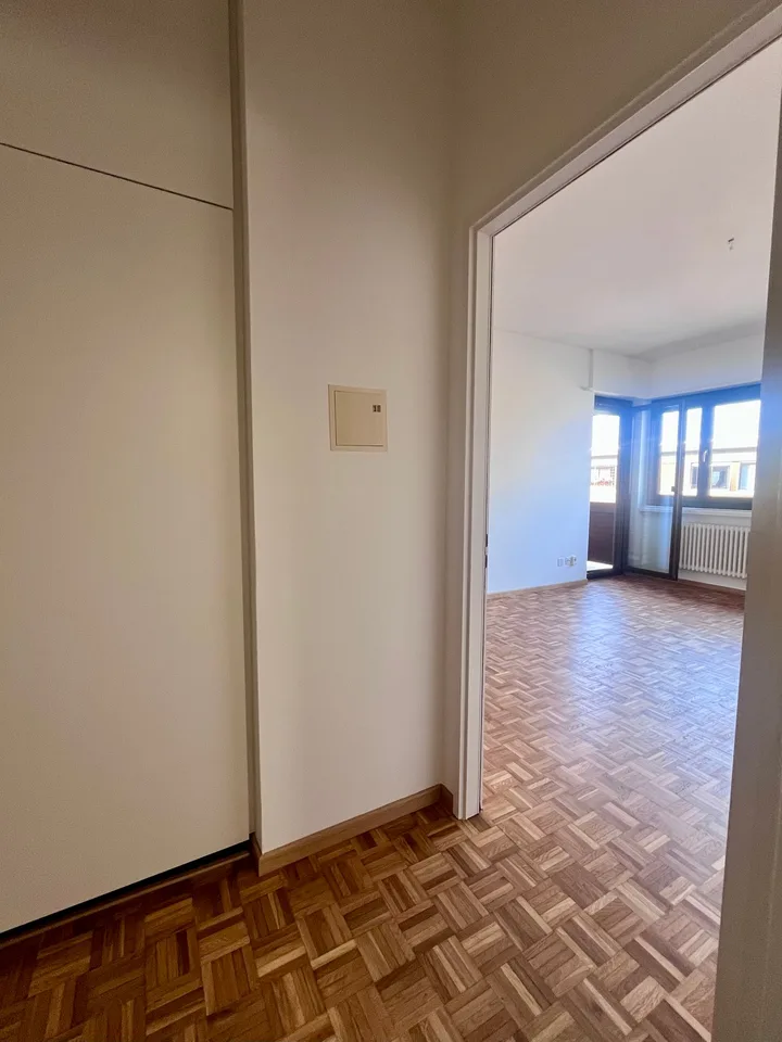 Studio with balcony and panoramic view in Lugano – photo 13 of 15