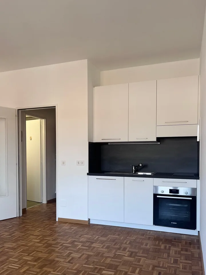 Studio with balcony and panoramic view in Lugano – photo 3 of 15