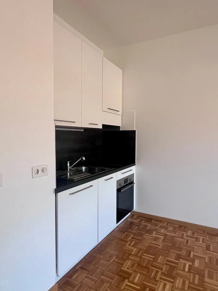 Studio with balcony and panoramic view in Lugano – photo 6 of 15