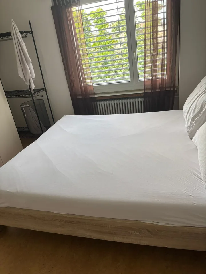 ✨ Appartamento di 2,5 locali completamente arredato in un Dübendorf tranquillo – foto 6 di 13