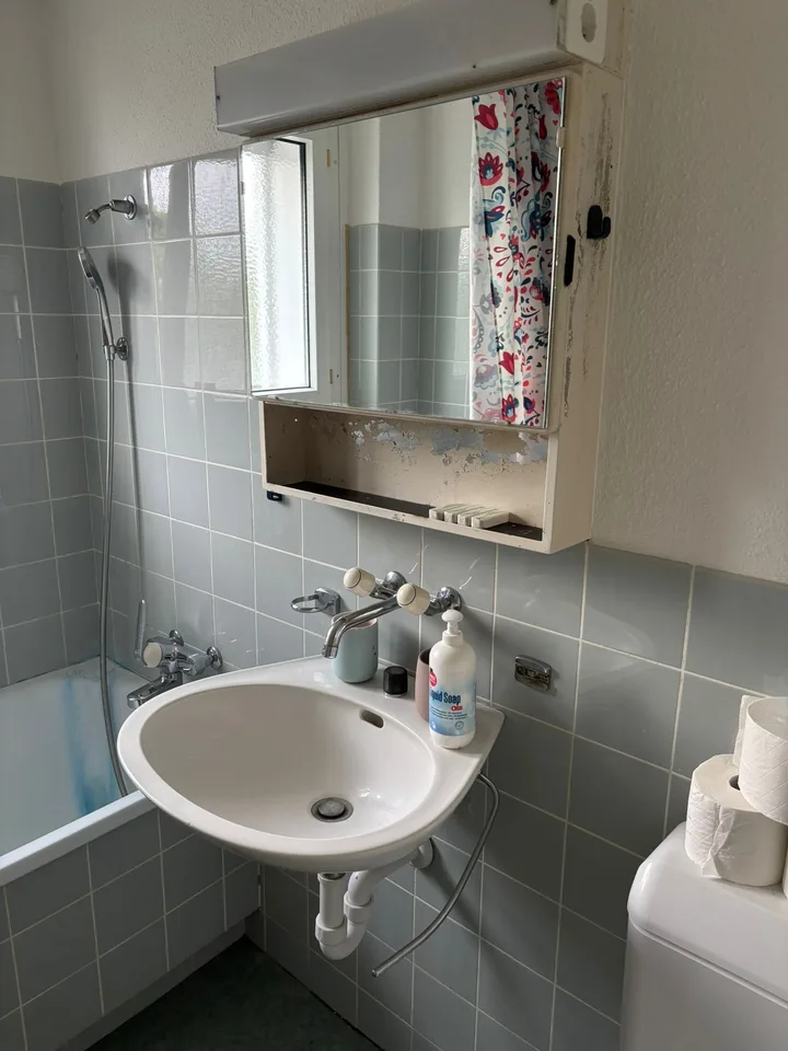 ✨ Appartamento di 2,5 locali completamente arredato in un Dübendorf tranquillo – foto 13 di 13