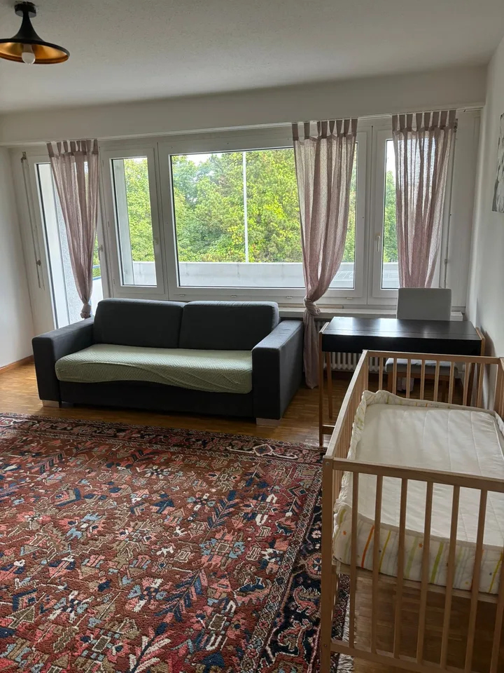 ✨ Appartement de 2,5 pièces entièrement meublé dans un quartier calme de Dübendorf – photo 2 sur 13